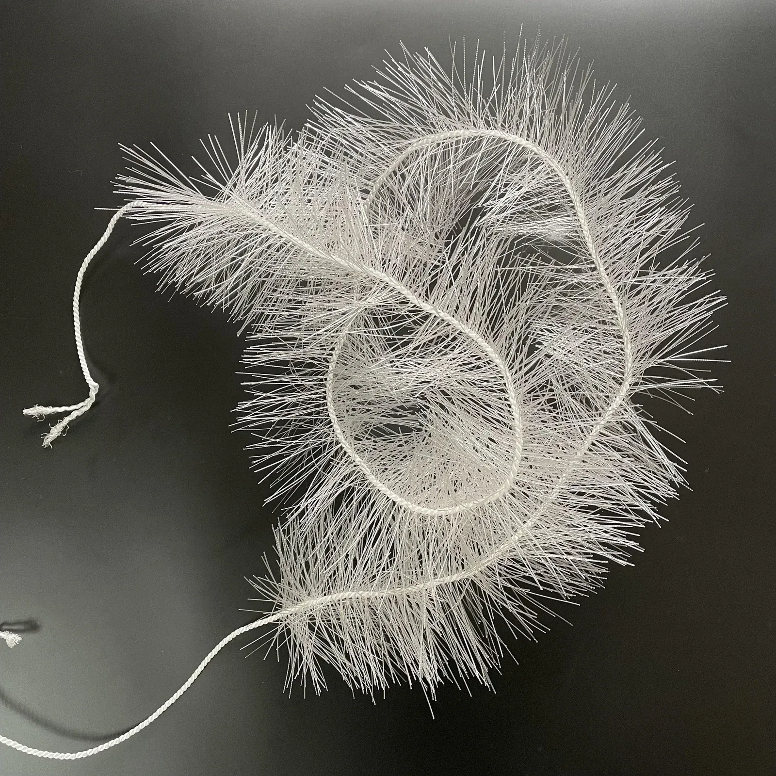 3D elastic biological media product photograph 3
